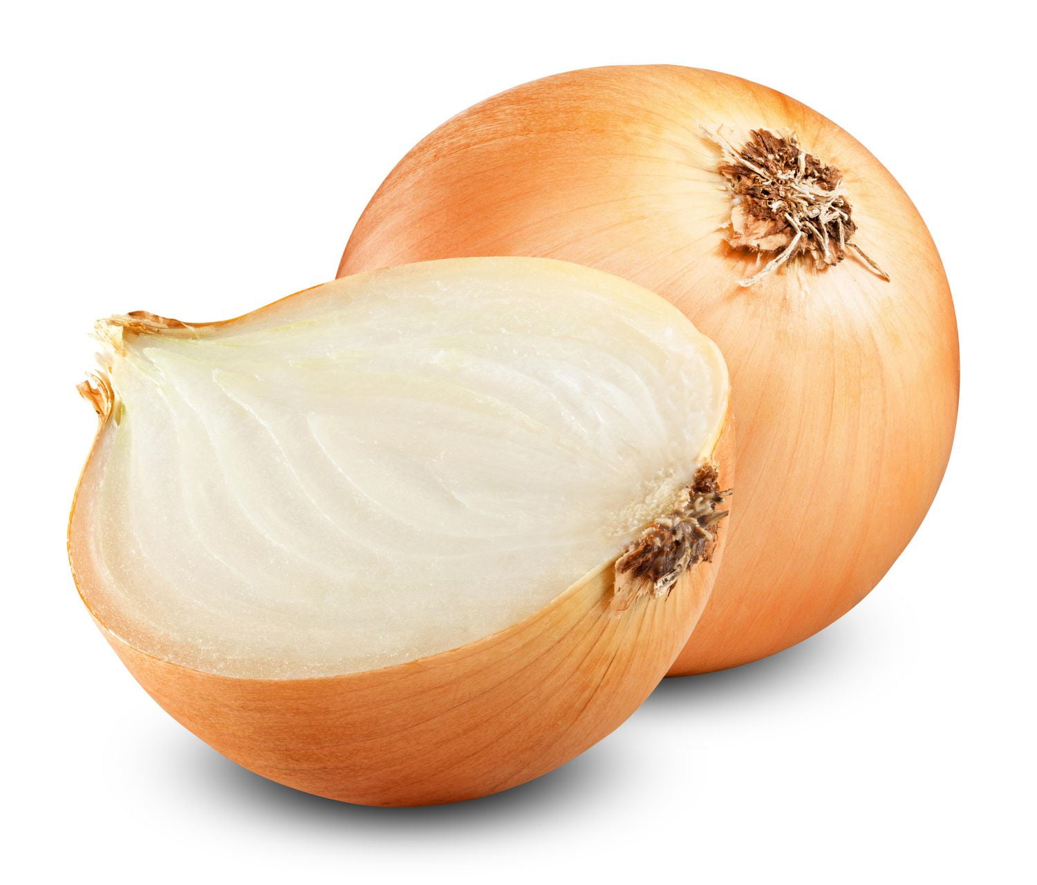 Onion, Yellow Walmart Canada
