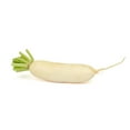 thumbnail image 1 of White Radish, Sold in singles, 0.40 - 1.00 KG, 1 of 1
