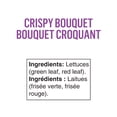 thumbnail image 2 of FOLIA CRISPY BOUQUET 113G LETTUCE / SALAD, Local / Quebec. No pesticides, 2 of 3