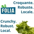 thumbnail image 3 of FOLIA CRUNCHY GREENS 113G LETTUCE / SALAD, Local / Quebec. No pesticides, 3 of 7