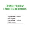 thumbnail image 4 of FOLIA CRUNCHY GREENS 113G LETTUCE / SALAD, Local / Quebec. No pesticides, 4 of 7