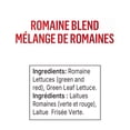 thumbnail image 2 of FOLIA ROMAINE BLEND LETTUCE / SALAD GREENS, Local / Quebec. No pesticides, 2 of 2