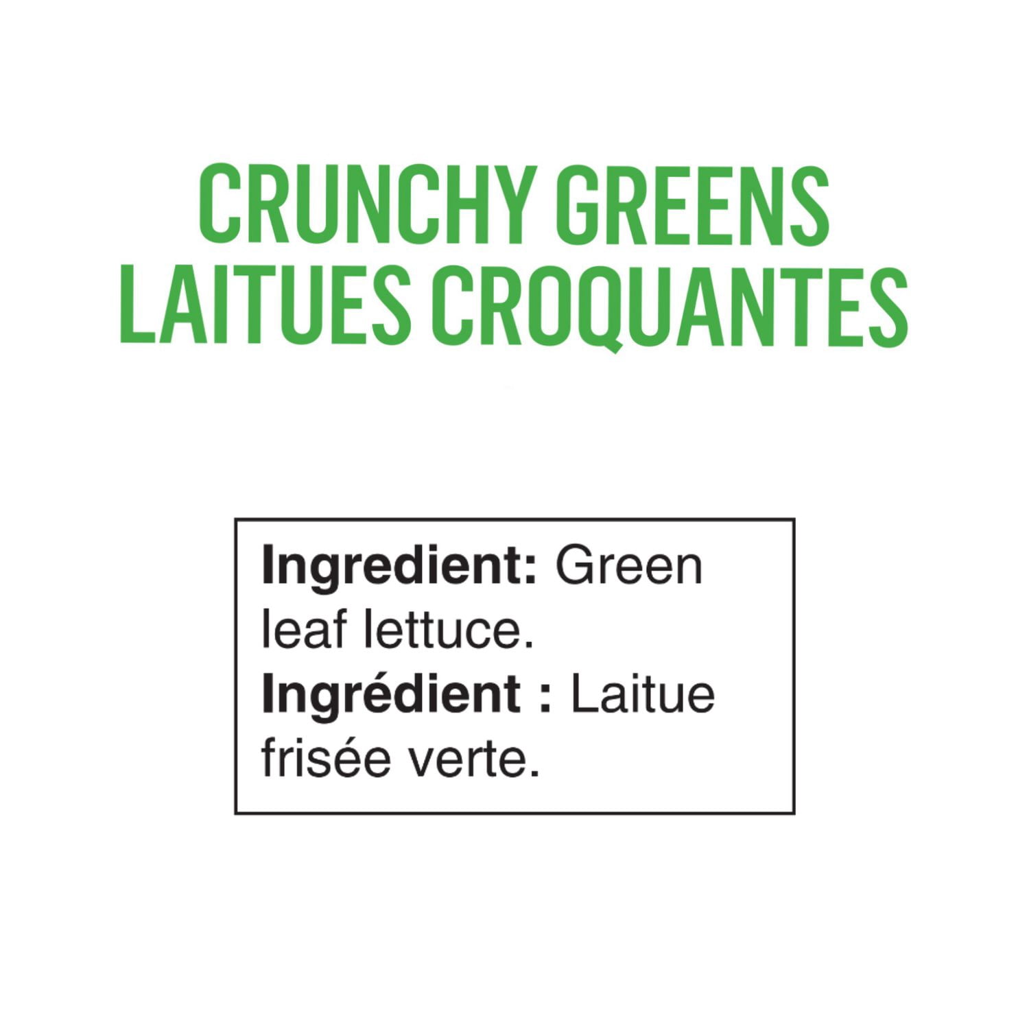 FOLIA CRUNCHY GREENS 227G LETTUCE / SALAD, Local / Quebec. No pesticides