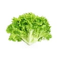 thumbnail image 1 of Lettuce, Escarole, 1 of 1