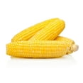 thumbnail image 1 of Corn, 1 of 1
