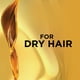 L'Oréal Paris Hair Expertise, 6 nutri-Oils Extraordinary Oil Shampoo,, 385 ml 385 ml – image 5 sur 6