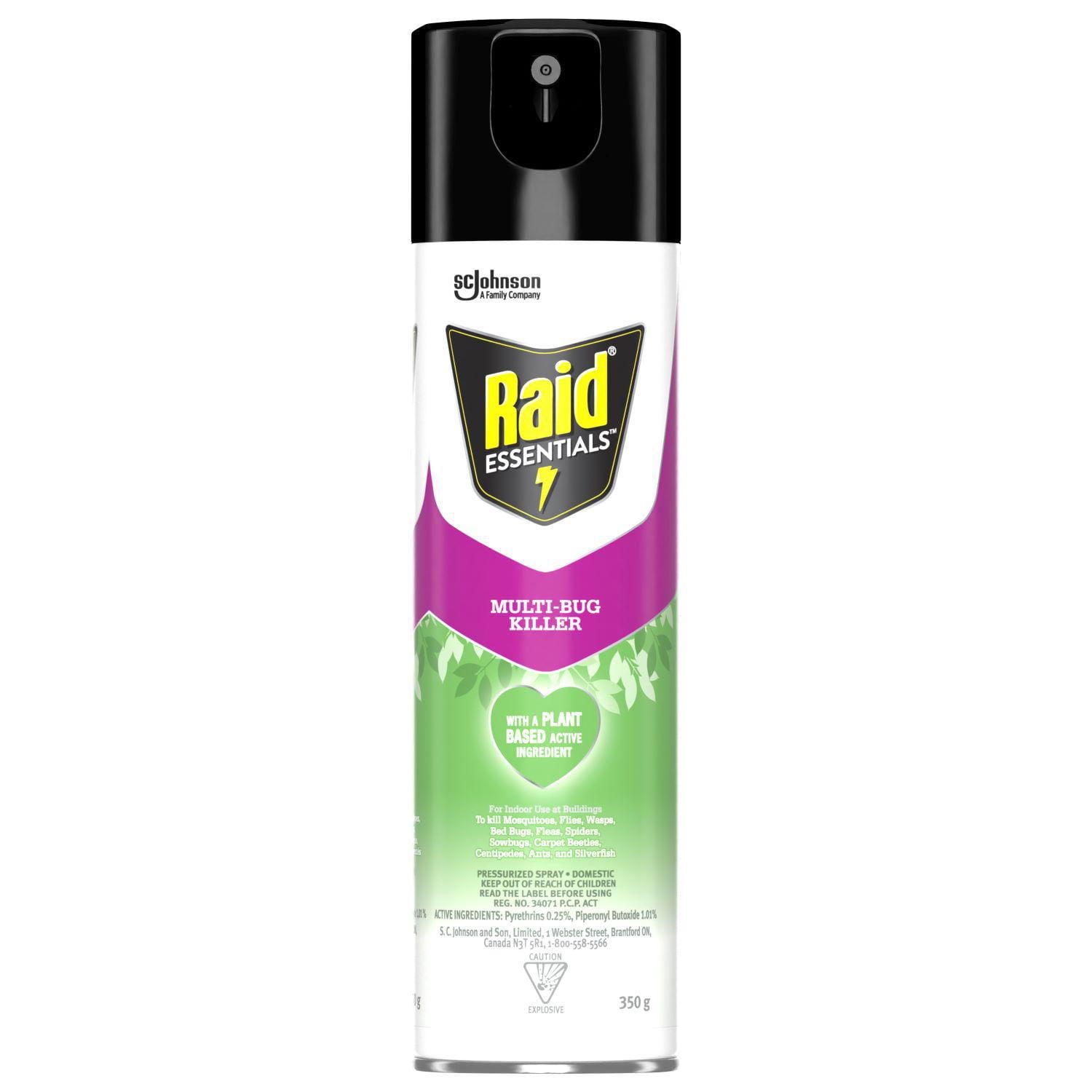 Raid Essentials Multi-Bug Insect Killer Spray, For Indoor Use