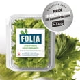 thumbnail image 2 of FOLIA CRUNCHY GREENS 113G LETTUCE / SALAD, Local / Quebec. No pesticides, 2 of 7