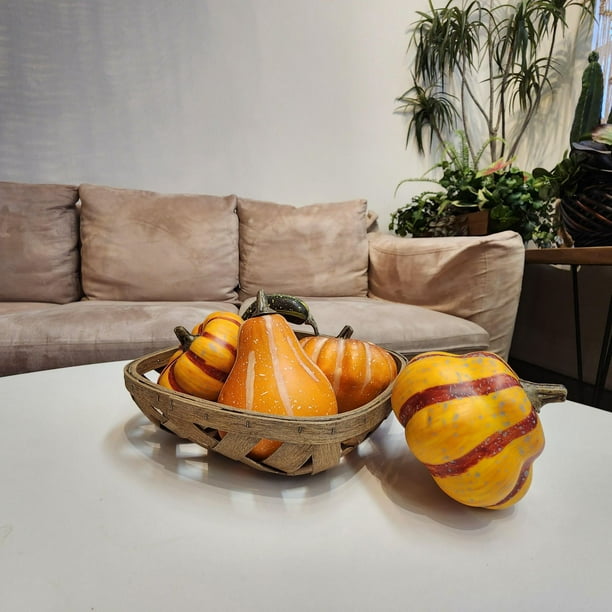 Way to Celebrate Orange & Green Bagged Mini Pumpkin and Gourd 5pc