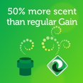 thumbnail image 4 of Gain Flings Original Laundry Detergent Pacs, 4 of 9