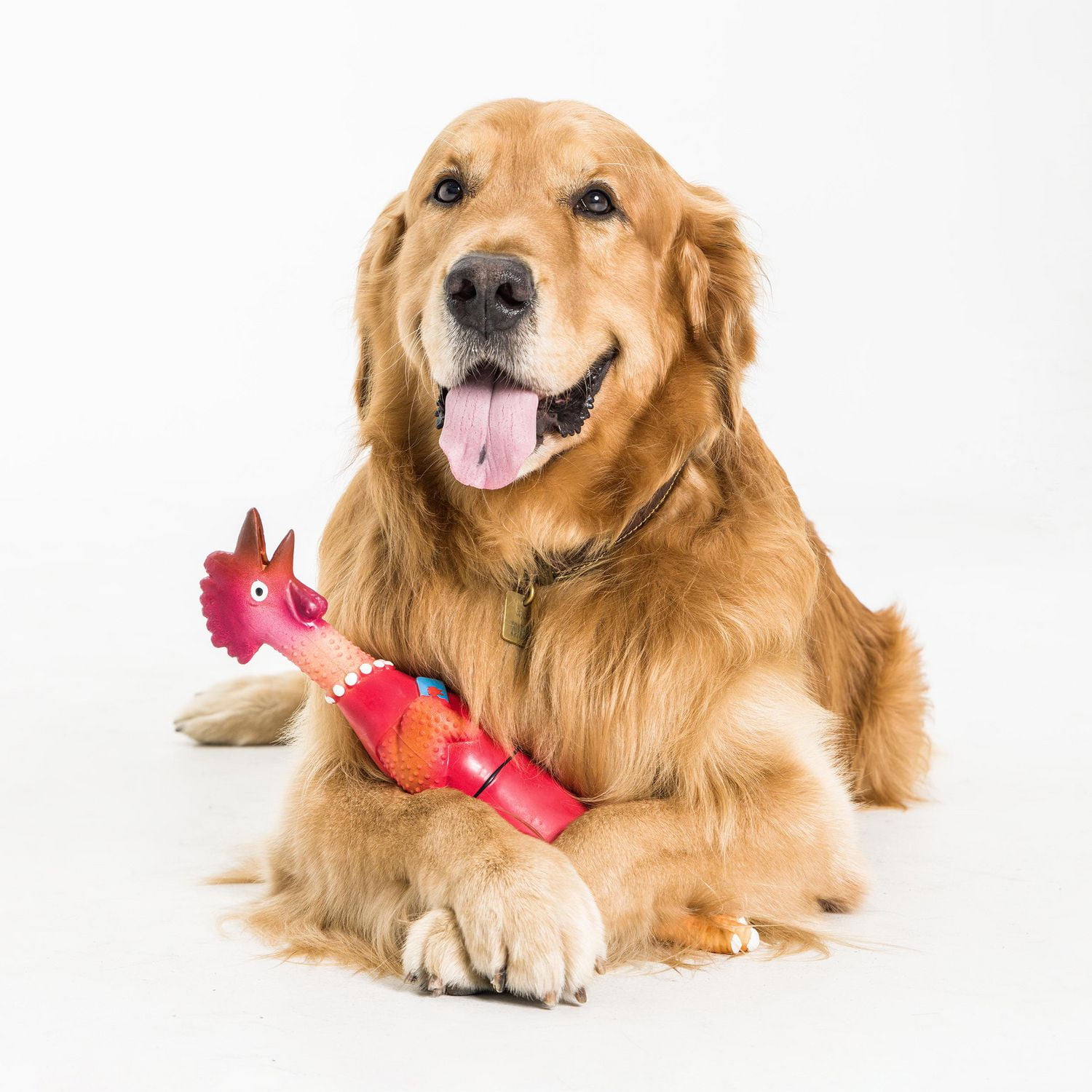 Latex Chicken Dog Toy - Walmart.ca