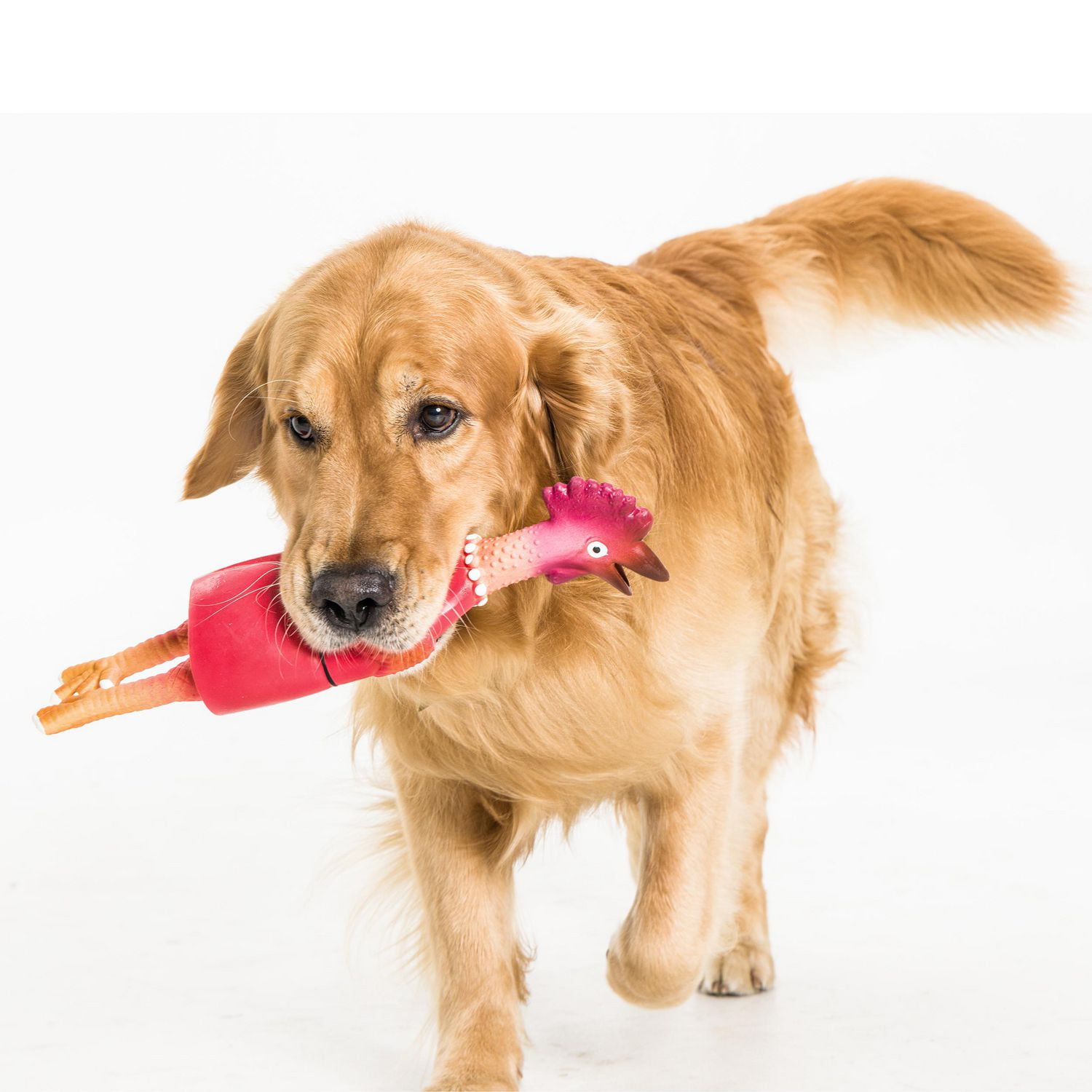 KONG Refillable Classic Chew Dog Toy - S