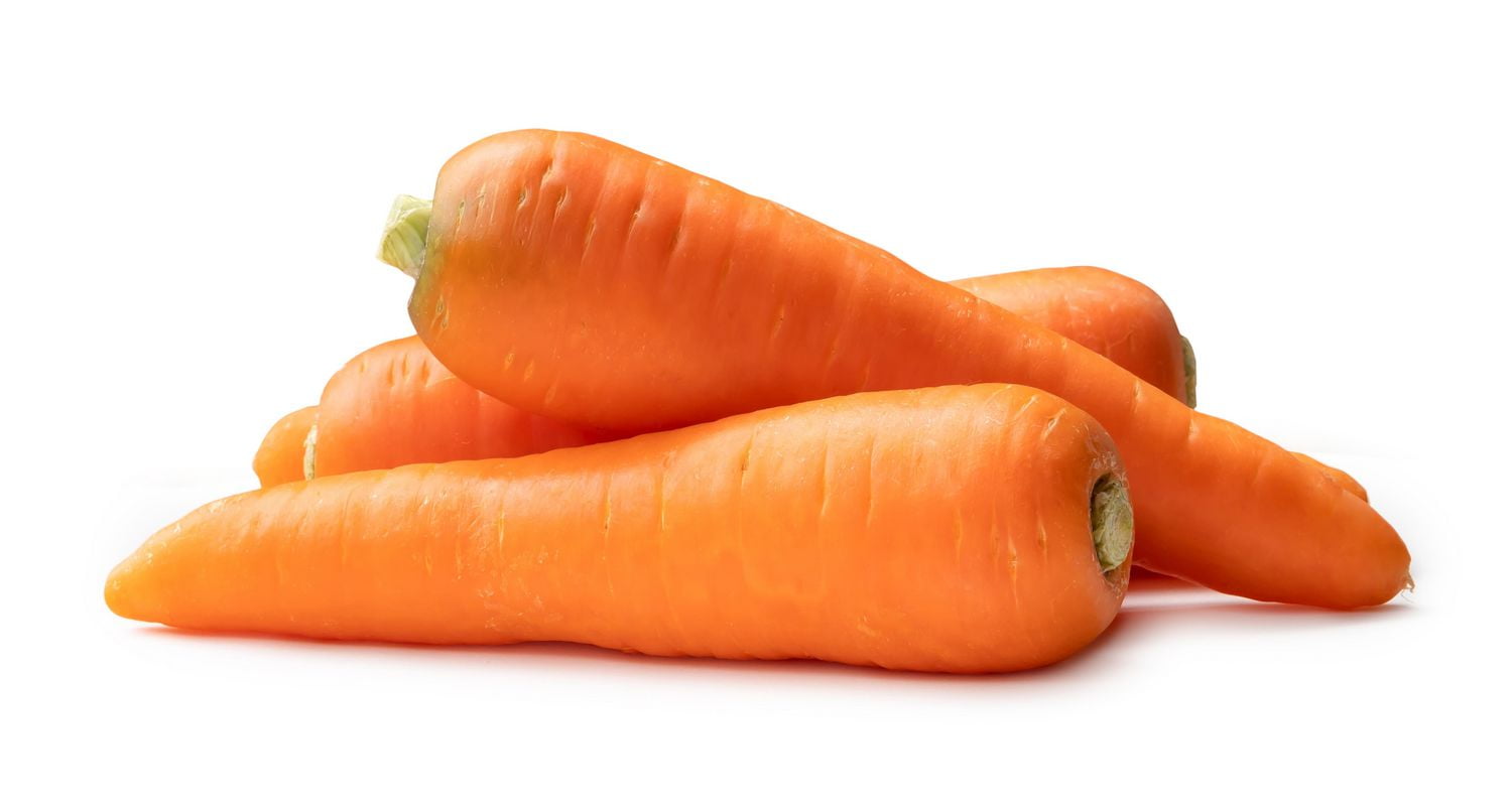 Indian Carrot, 1 EA