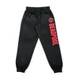 thumbnail image 1 of Marvel Deadpool Mens Vertical Joggers, 1 of 2
