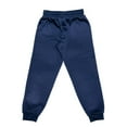 thumbnail image 2 of Superman Mens Vertical Joggers, 2 of 2