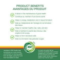 thumbnail image 3 of Jamieson Vitamin B100 Timed Release Caplets, 100 mg, 100 Count, 3 of 9