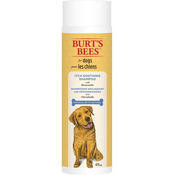 Shampoing soulageant les démangeaisons avec chèvrefeuille de Burt's Bees pour chiens 475 ml