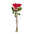 thumbnail image 2 of Small Rose Fresh Flower Bouquet, 50 cm, 2 of 5