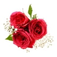 thumbnail image 1 of Small Rose Fresh Flower Bouquet, 50 cm, 1 of 5