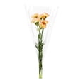 thumbnail image 2 of Fresh Carnations Flowers, 50 cm, 2 of 5