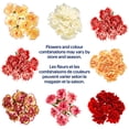thumbnail image 3 of Fresh Carnations Flowers, 50 cm, 3 of 5