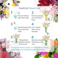 thumbnail image 5 of Fresh Carnations Flowers, 50 cm, 5 of 5