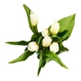 thumbnail image 1 of Tulipes fraîches 6 tiges, 1 of 5