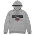 thumbnail image 1 of NBA Officially Licensed Toronto Raptors Vintage Grey Hoodie, 1 of 2