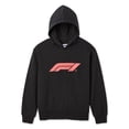 thumbnail image 3 of Formula 1 Boys' Graphic Hoodie, 3 of 3