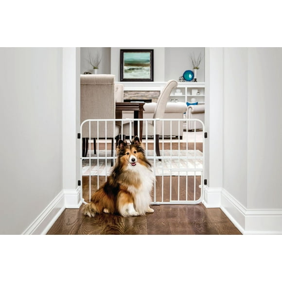Carlson Tuffy Expandable Pet Gate