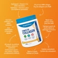 thumbnail image 3 of Progressive Complete Collagen Powder, 10 g, Citrus Twist Flavour, 500 g, 3 of 8