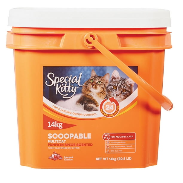Special Kitty Scoopable Clumping Odour Control Cat Litter Pumpkin Spice Scented Walmart.ca