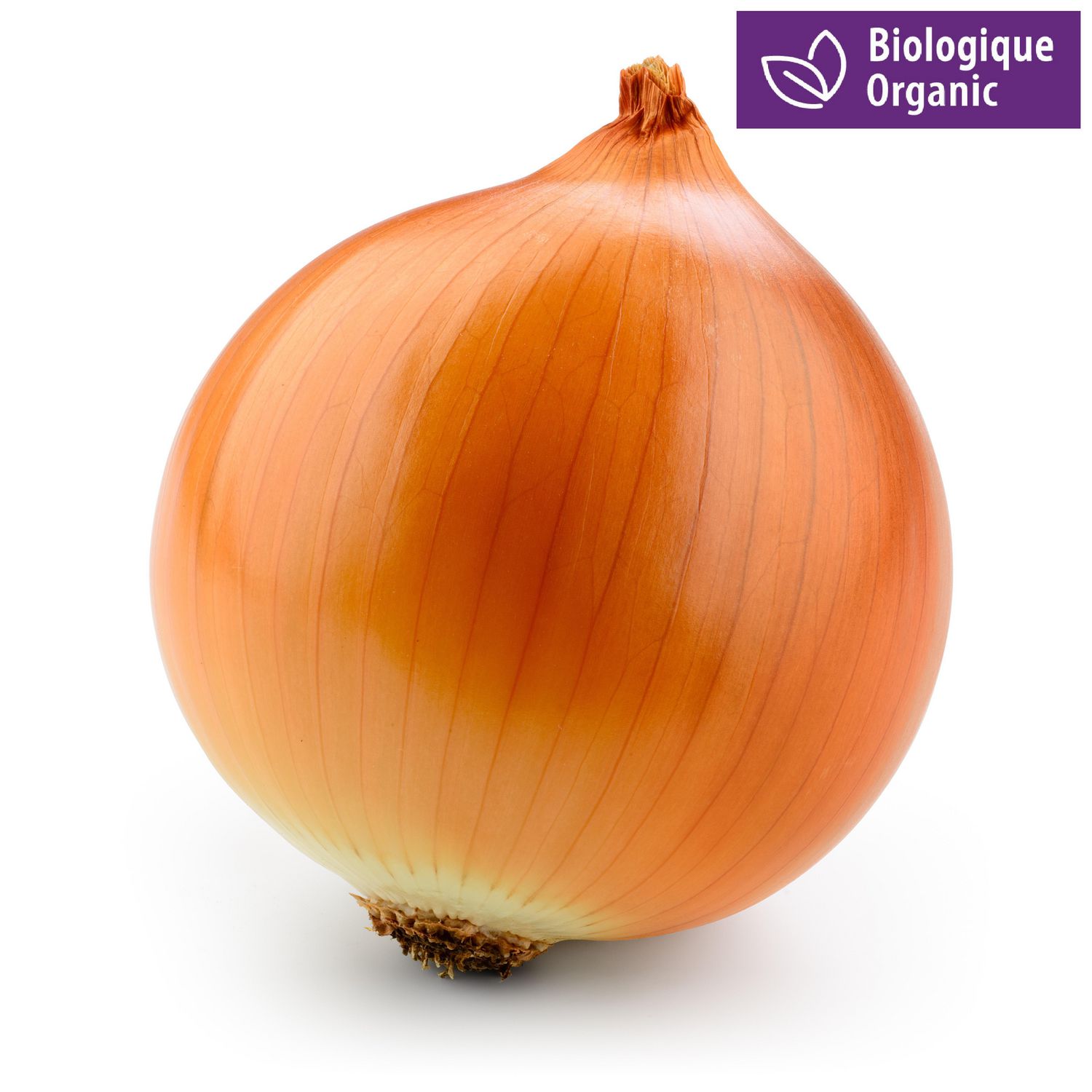 Buy Organic Yellow Onions Online Walmart Canada