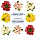 thumbnail image 3 of Bouquet de douze roses fraîches 50 cm, 3 of 5