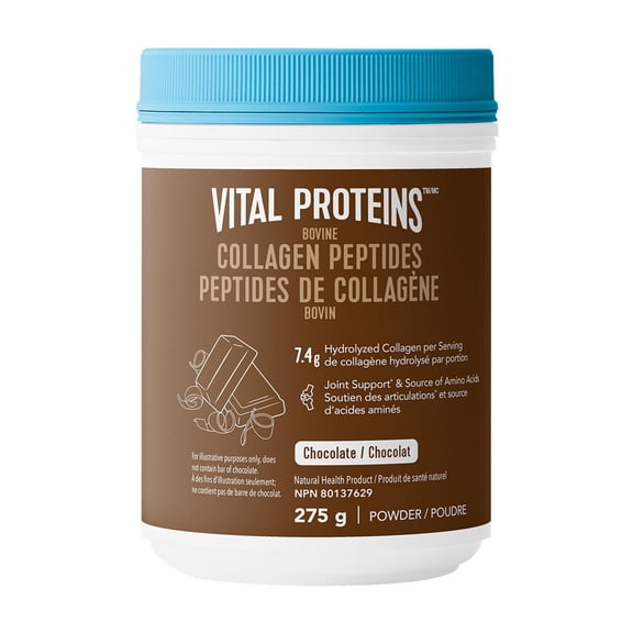 Vital Proteins Collagène Bovin Au Chocolat Pour La Formation Du Collagène Et La Réduction Des Douleurs Articulaires Associées À L’Arthrose, Source D’Acides Amininés, Sans Sucre Ajouté