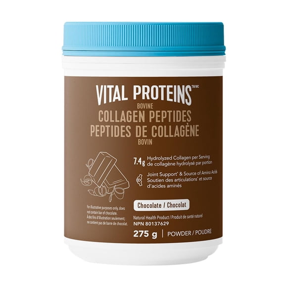 Vital Proteins Chocolate Bovine Collagen Peptides Powder, Helps Form Collagen & Reduce Joint Pain Associated With Osteoarthritis, Source Of Amino Acids, No Added Sugar