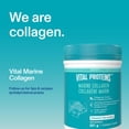 thumbnail image 5 of Vital Proteins Poudre De Peptides De Collagène Marin, Aide À La Formation Du Collagène Et À La Réduction Des Douleurs Articulaires Associées À L’Arthrose, Source D’Acides Aminés, Sans Sucre Ajouté, Sans Colorants Ni Arômes Artificiels, 5 of 5