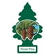 Assainisseur d'air LITTLE TREES Royal Pine en paquet de 3 Paq. de 3 – image 4 sur 7