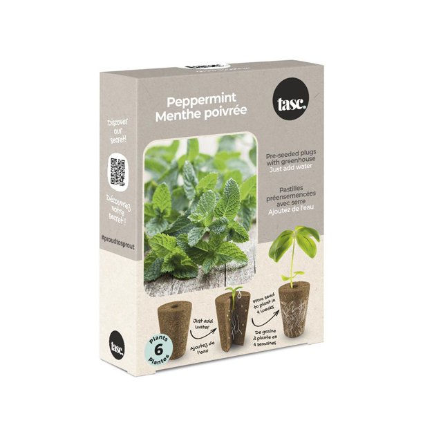 TASC Flower Bulbs Peppermint Piperita (6 Plants) - Walmart.ca