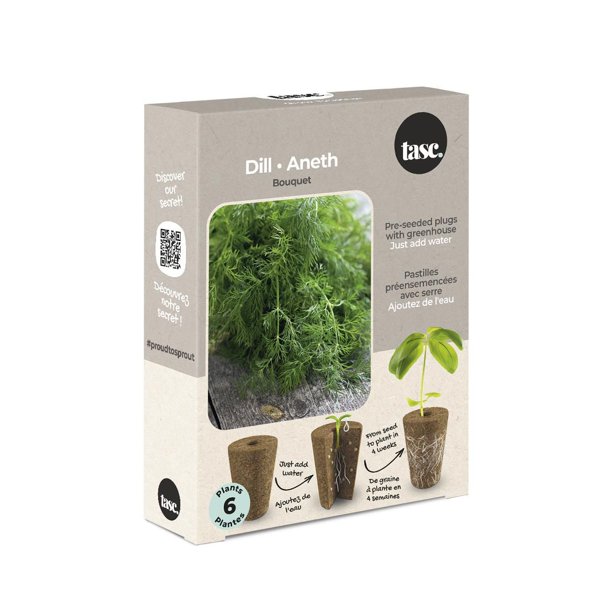 TASC Flower Bulbs Dill Graveolens Bouquet (6 Plants) Walmart.ca