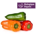 thumbnail image 1 of Peppers, Organic Mini, 1 of 1