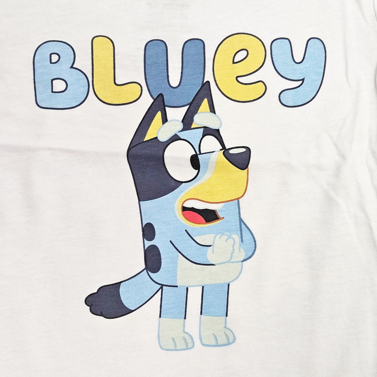 Bluey Ensemble de vêtements de nuit 2 pièces mains ensemble pour petites filles