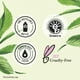 Herbal Essences Classics Clarifying Tea Tree Shampoo, 400 mL - image 5 of 7