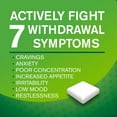 thumbnail image 4 of Nicorette Nicotine Gum, Quit Smoking Aid, Cinnamon, 2mg, 4 of 7