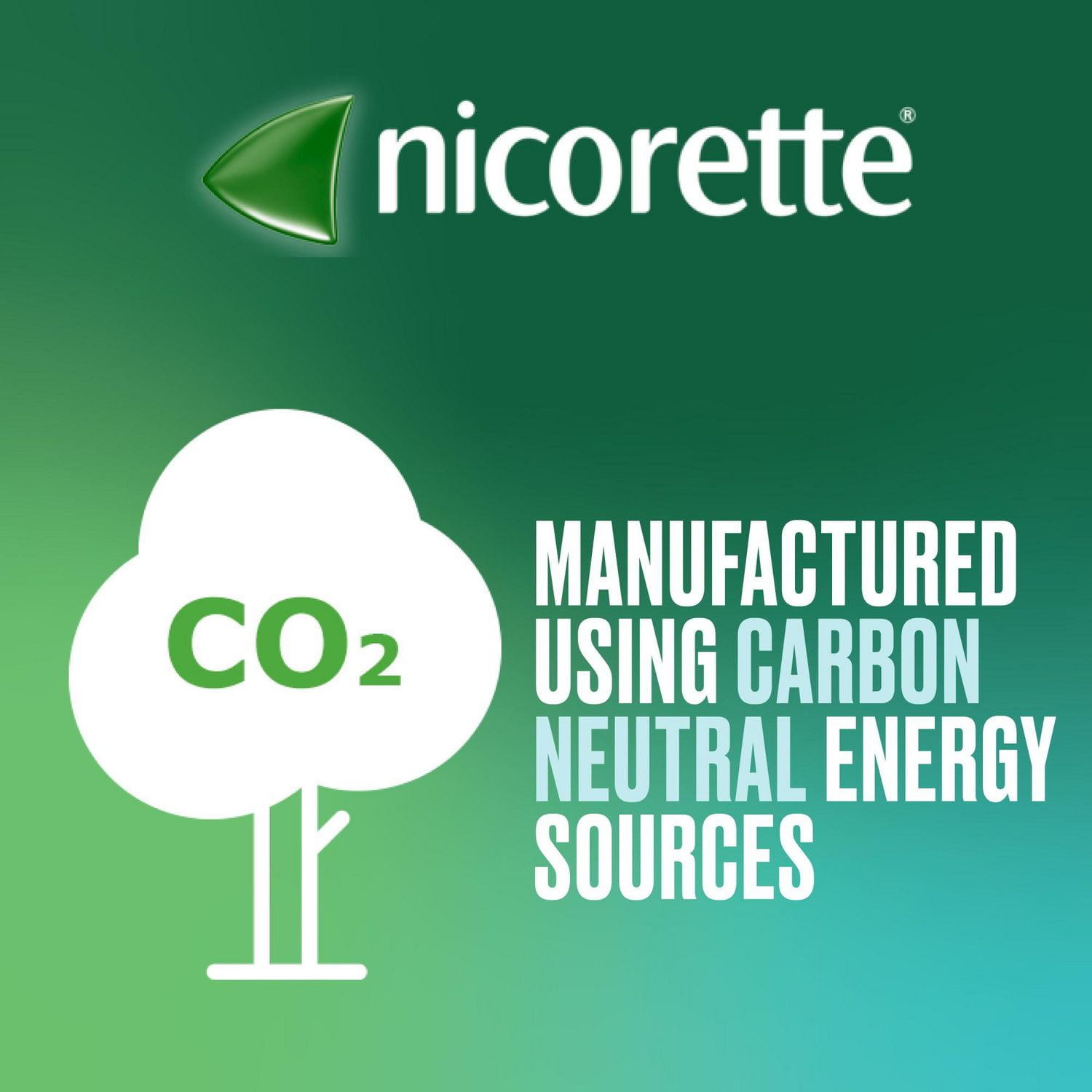 Nicorette Gum, Nicotine 2 mg, Mint Flavour, Quit Smoking Aid and Smoking Cessation Aid, 30 pieces