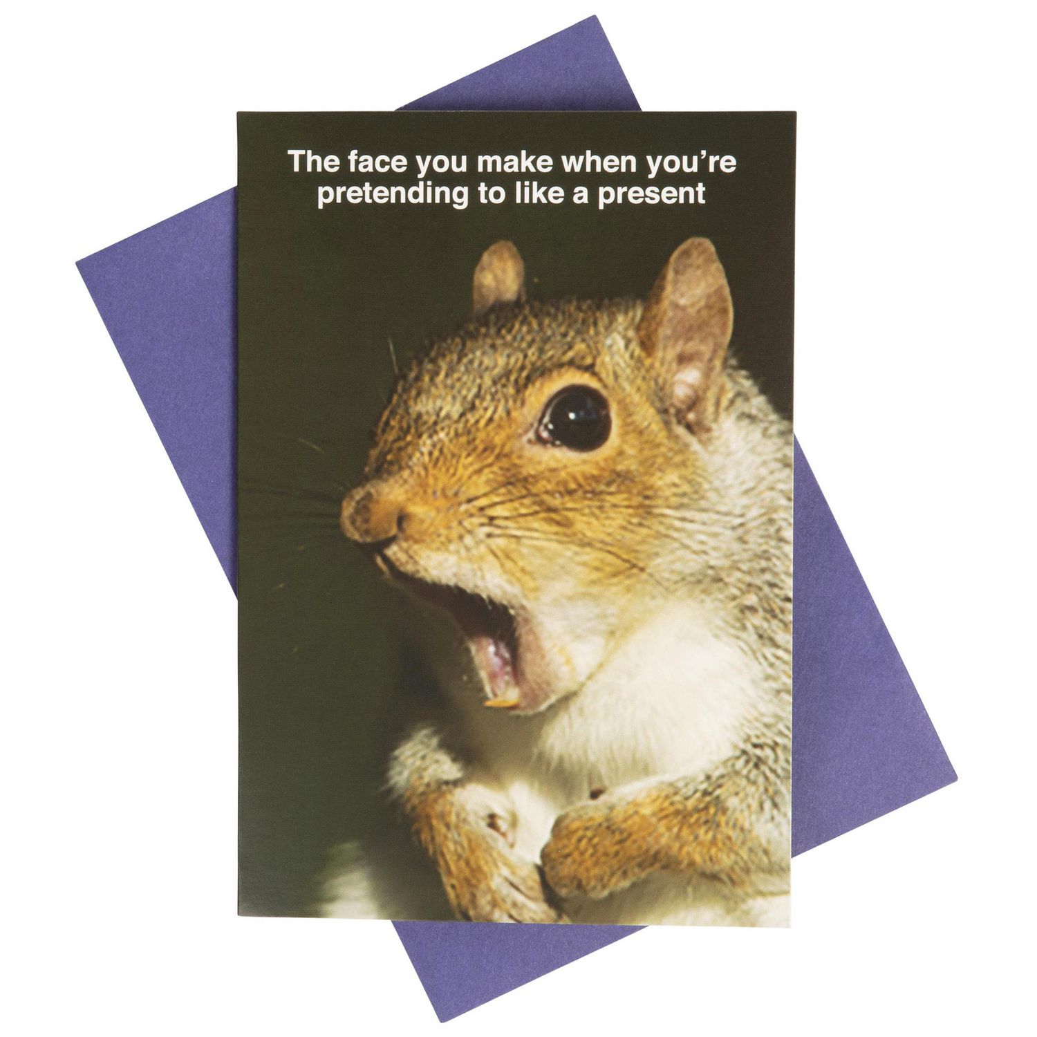 What Do You Meme?® Birthday Card (Shocked Squirrel ...