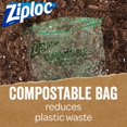 thumbnail image 3 of Ziploc Compostable Sandwich Bags, 50 Bags, 3 of 7