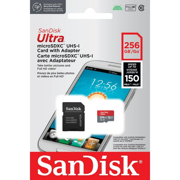 SanDisk Carte mémoire microSD Nintendo Switch 256 Go pour Nintendo