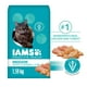 Nourriture sèche pour chats IAMS Proactive Health Chat d'intérieur Contrôle du poids et des boules de poils avec poulet et dinde 1,59-7,26 kg – image 1 sur 7
