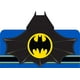 Serviette à capuche Batman « Fast and Fun » – image 1 sur 1